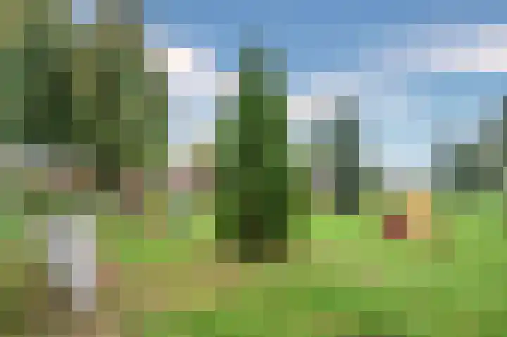 Schoolpad 50 Roermond thumbnail 55