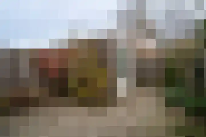 Schoolpad 52 Roermond thumbnail 27