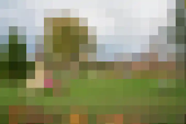 Schoolpad 52 Roermond thumbnail 44