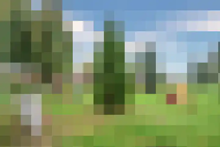 Schoolpad 52 Roermond thumbnail 48