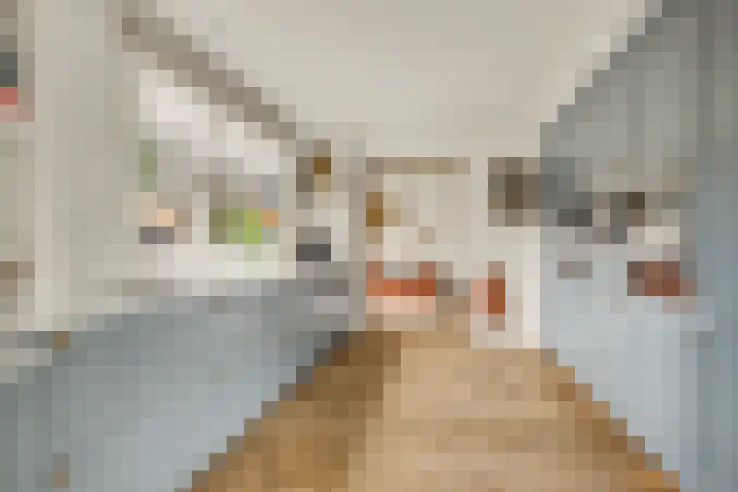 Schoolpad 6 Laren thumbnail 10