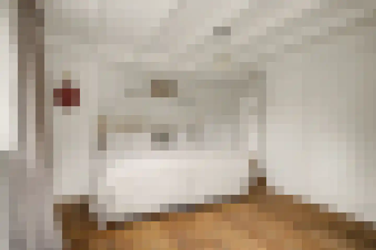 Schoolpad 6 Laren thumbnail 18