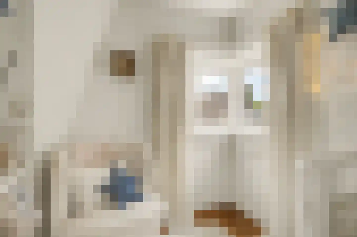 Schoolpad 6 Laren thumbnail 21