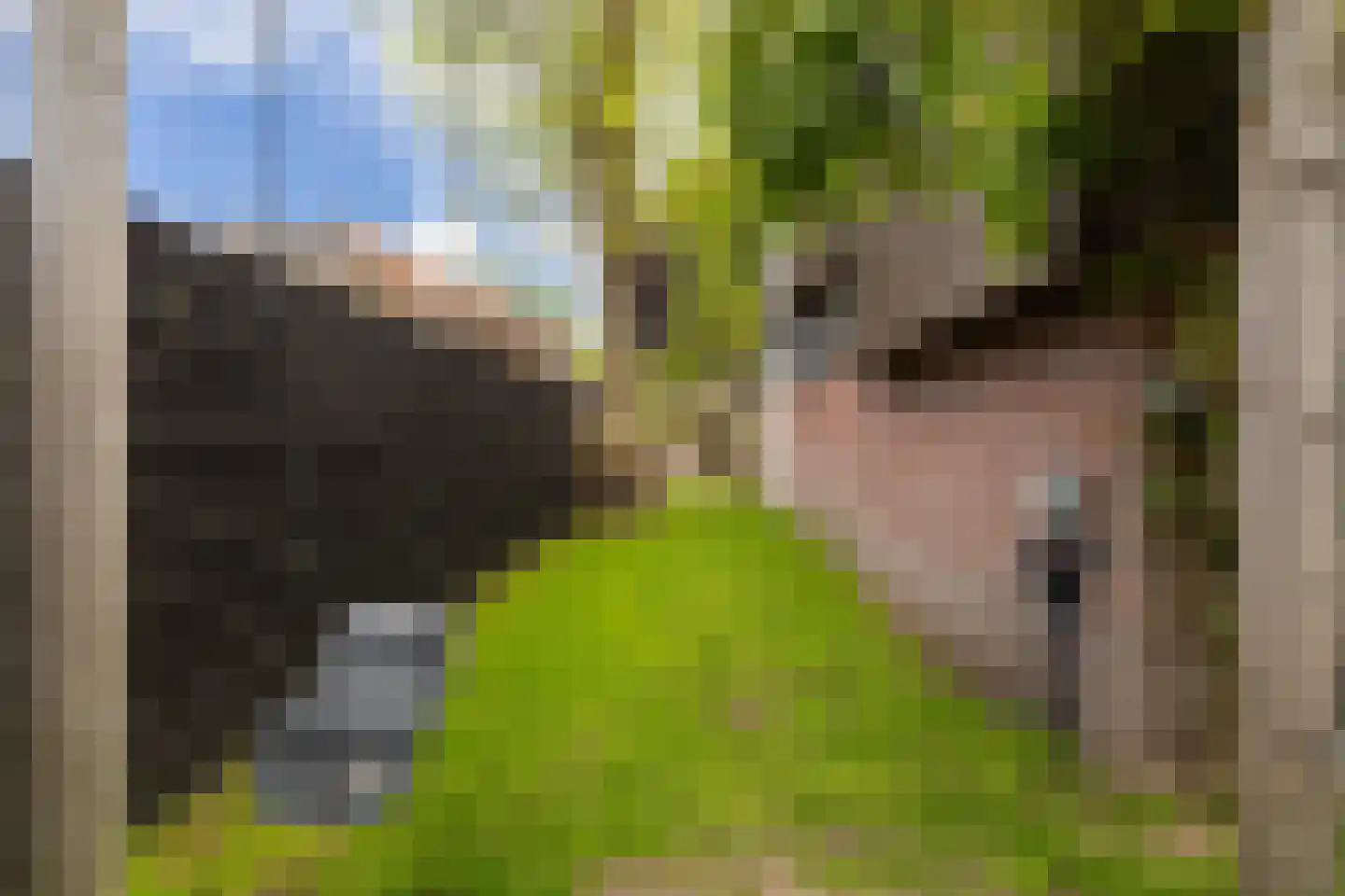 Schoolpad 6 Laren thumbnail 37