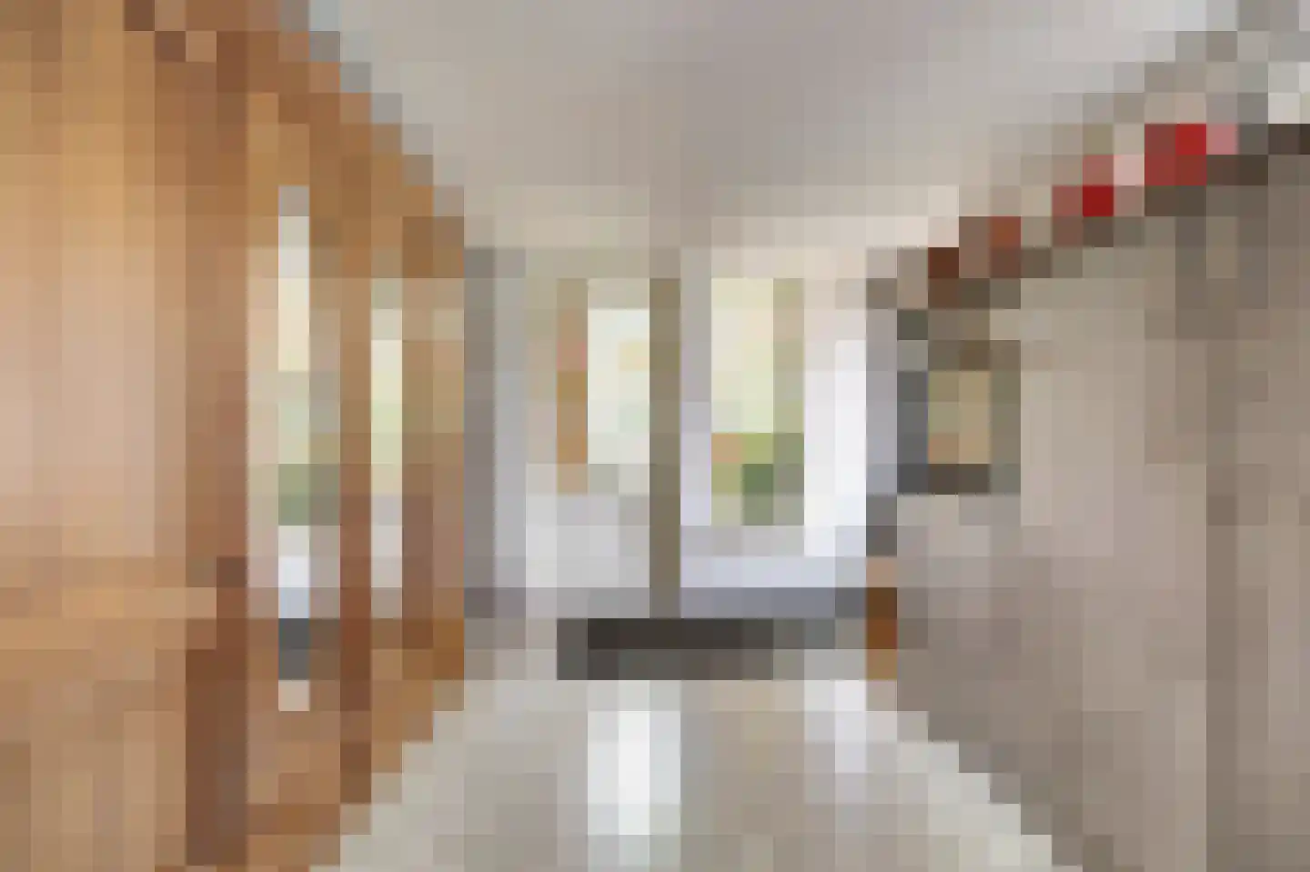 Schoolpad 7 Ermelo thumbnail 17