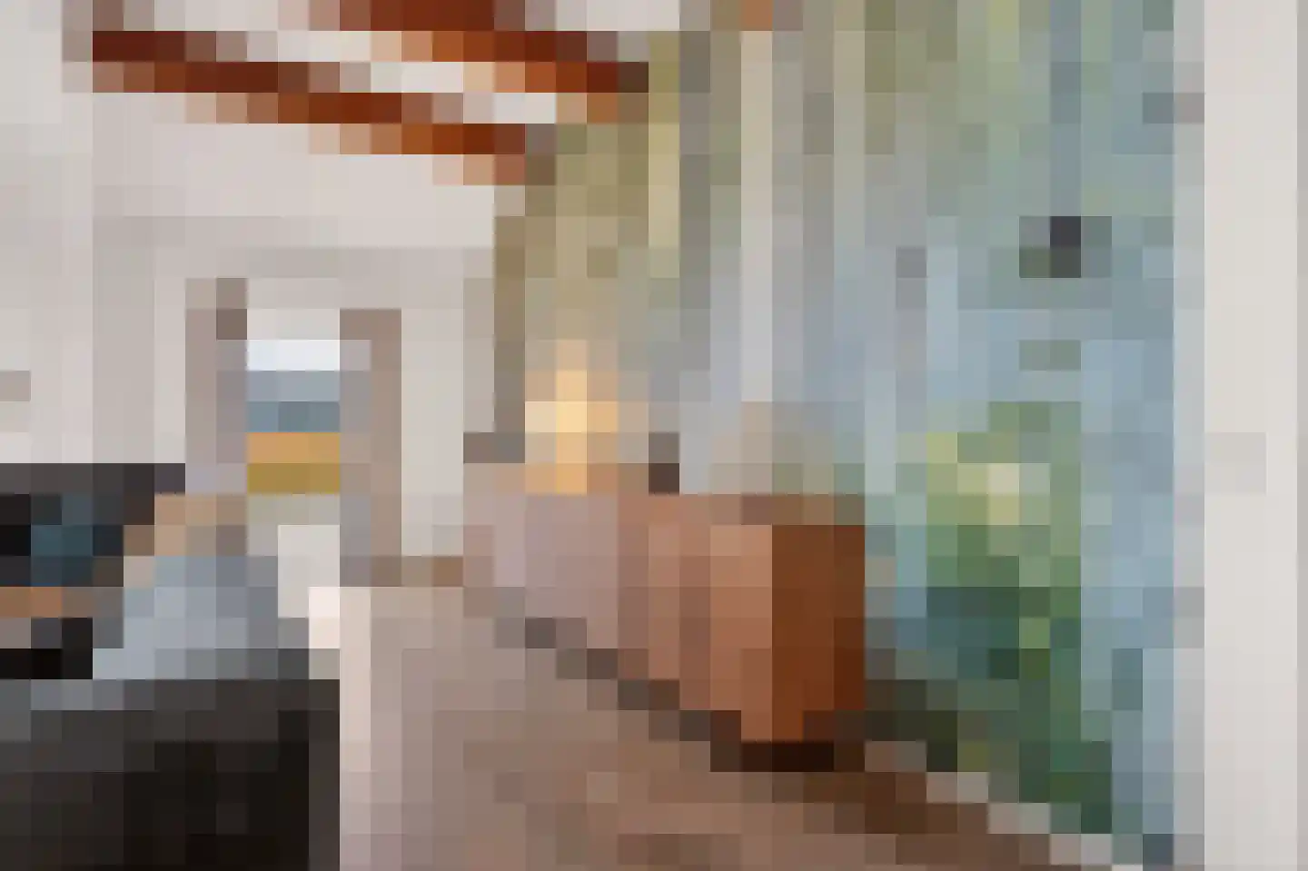 Schoolpad 7 Noordscheschut thumbnail 10