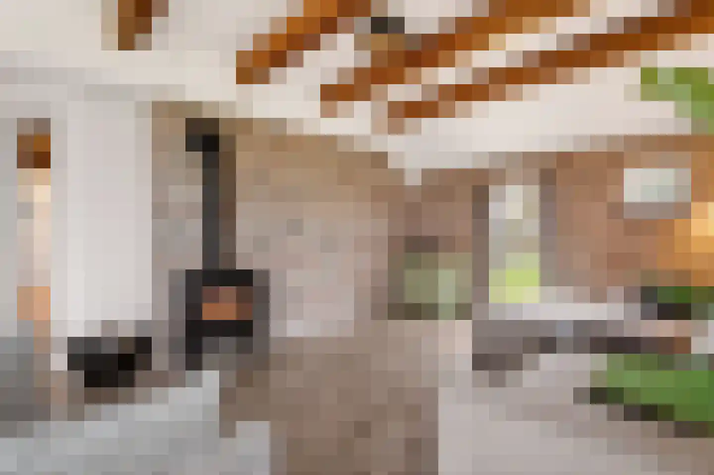 Schoolpad 7 Noordscheschut thumbnail 11