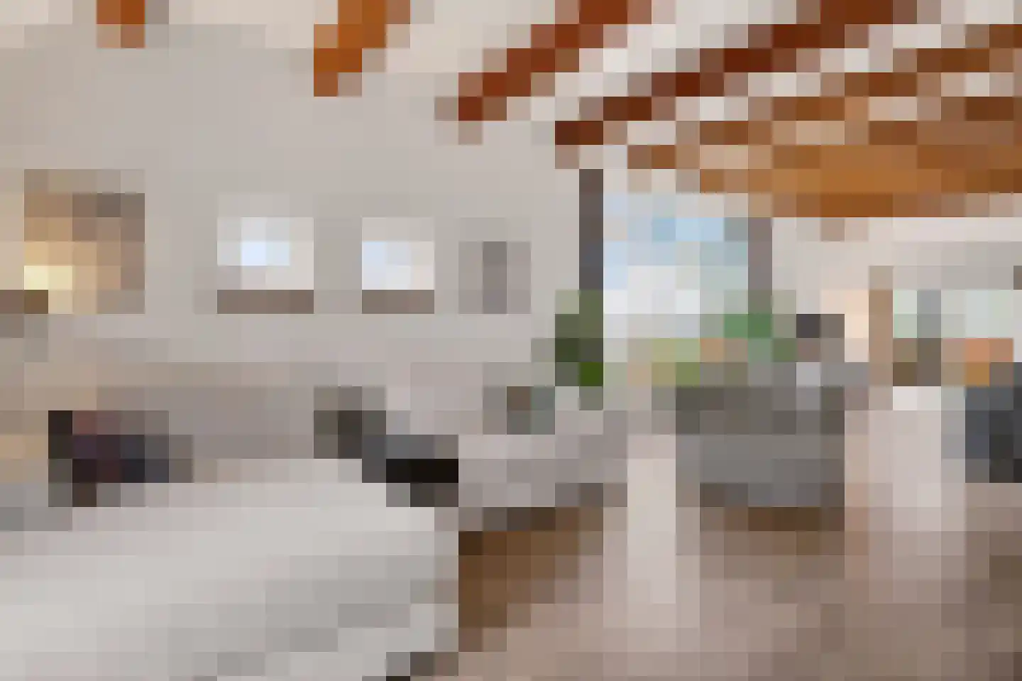 Schoolpad 7 Noordscheschut thumbnail 14