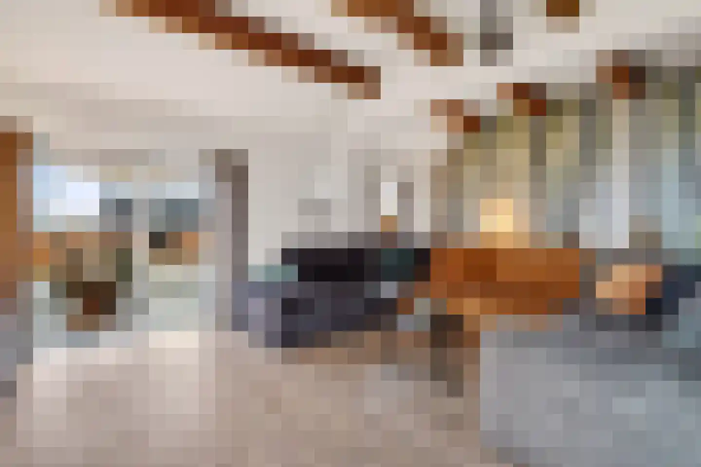 Schoolpad 7 Noordscheschut thumbnail 15