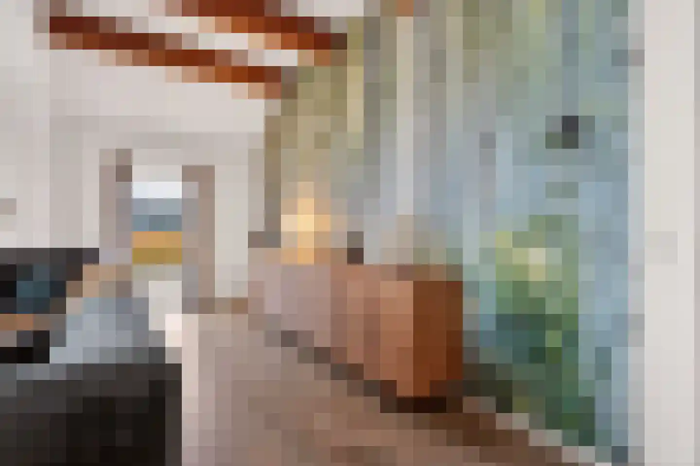 Schoolpad 7 Noordscheschut thumbnail 17