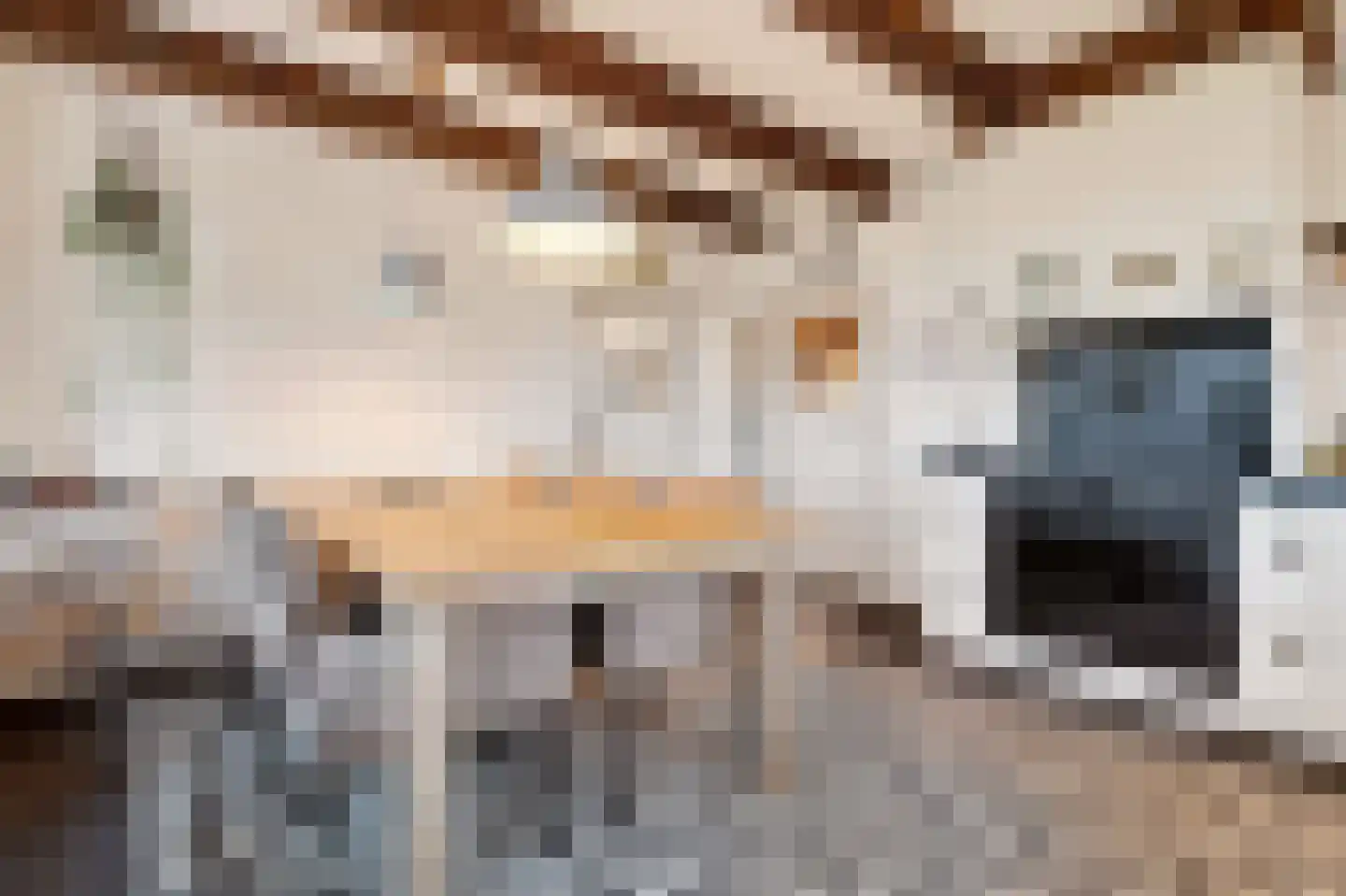 Schoolpad 7 Noordscheschut thumbnail 23