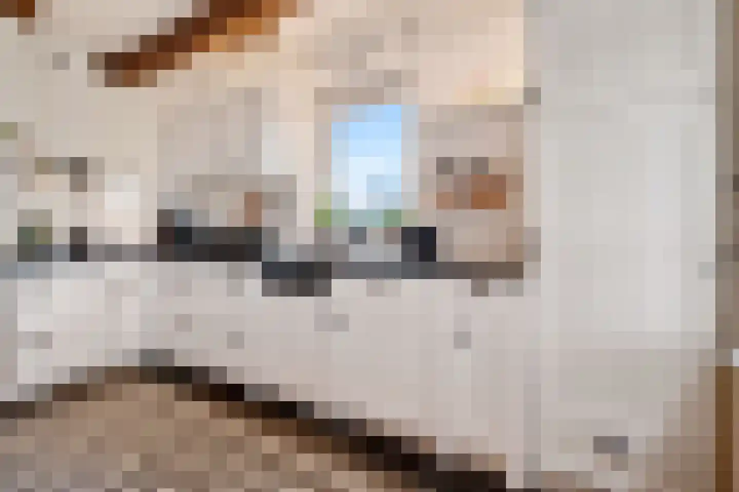 Schoolpad 7 Noordscheschut thumbnail 25