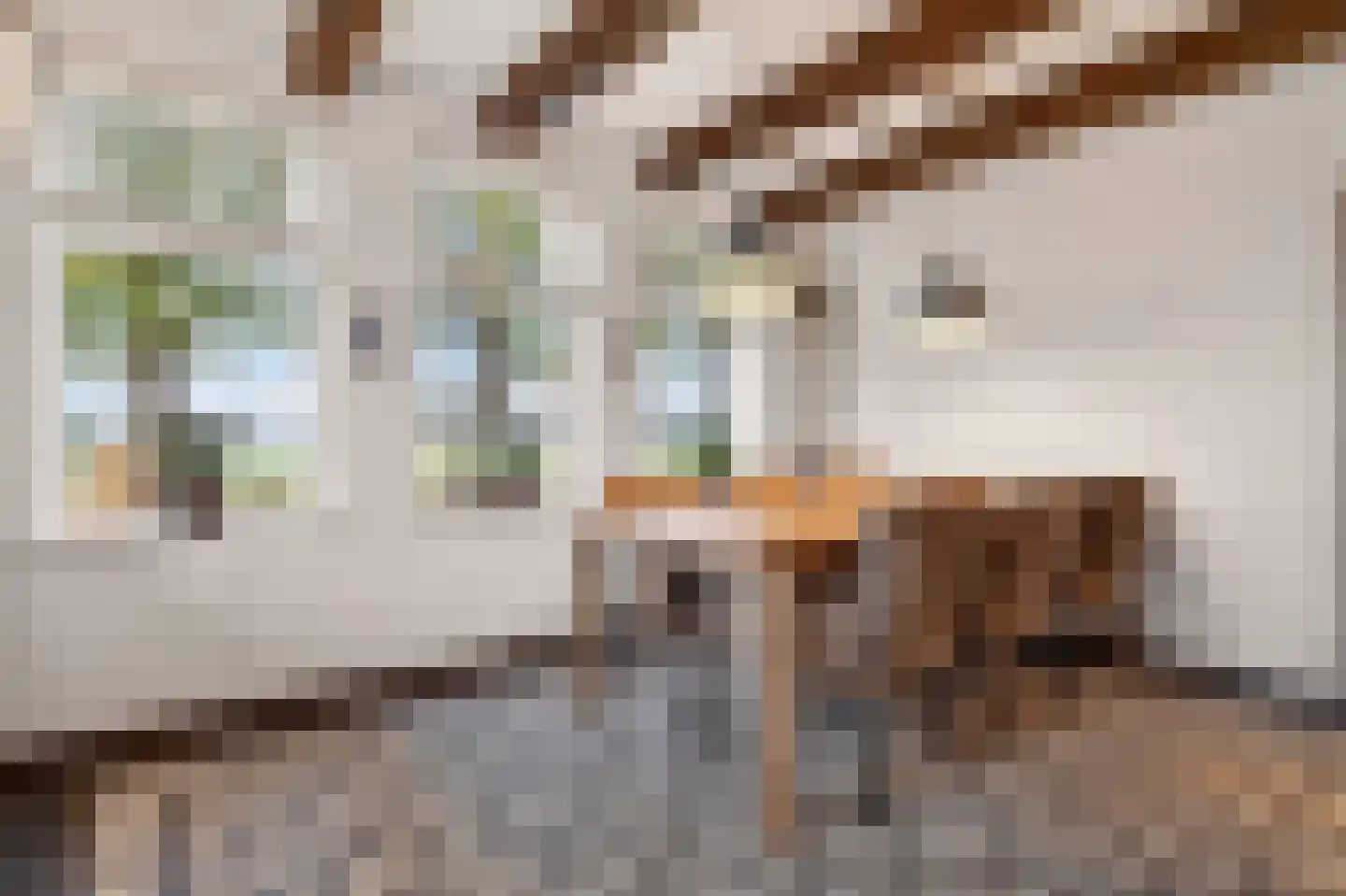 Schoolpad 7 Noordscheschut thumbnail 26