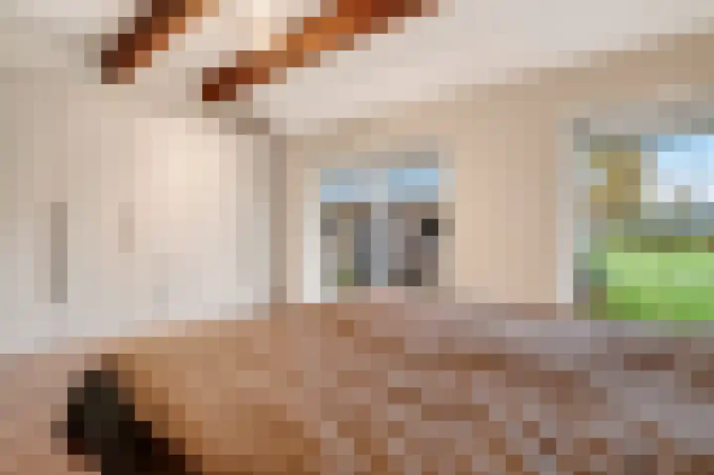 Schoolpad 7 Noordscheschut thumbnail 27