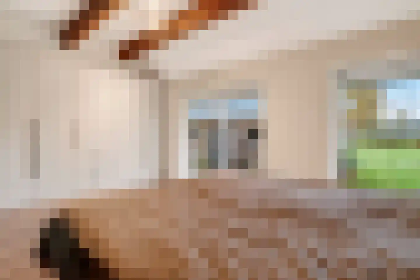 Schoolpad 7 Noordscheschut thumbnail 34