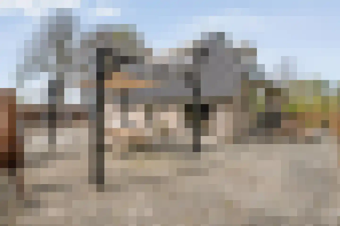 Schoolpad 7 Noordscheschut thumbnail 49