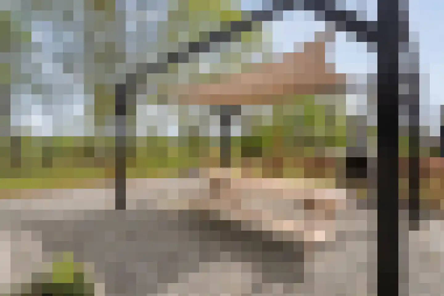 Schoolpad 7 Noordscheschut thumbnail 50