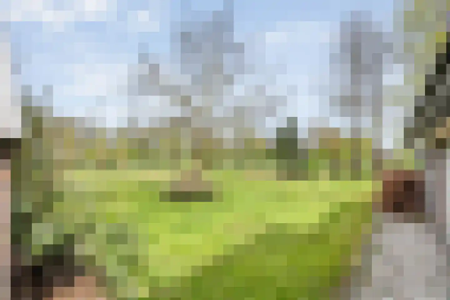 Schoolpad 7 Noordscheschut thumbnail 52