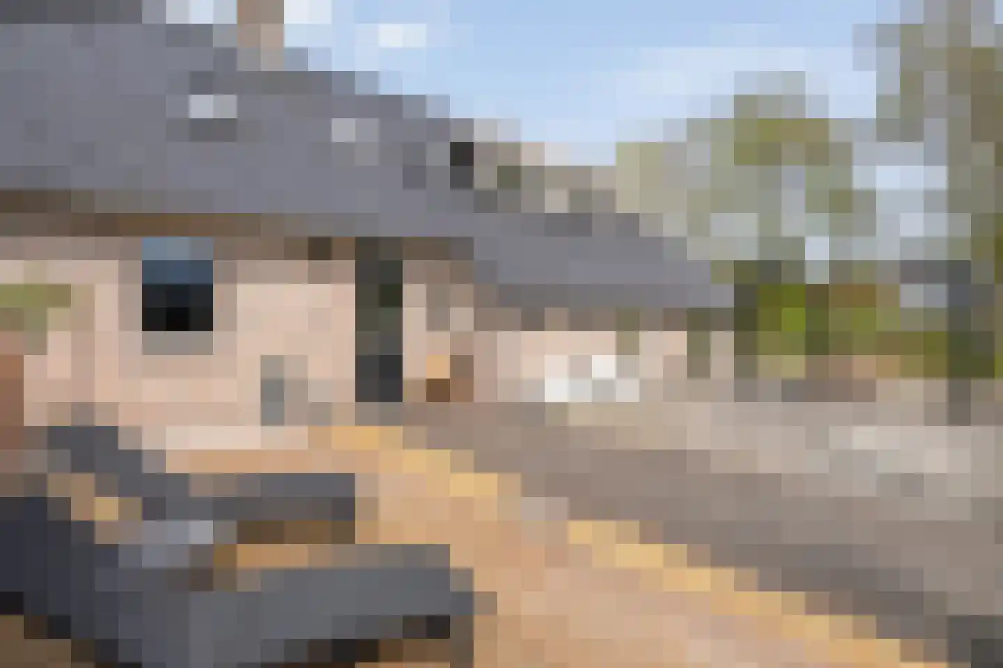 Schoolpad 7 Noordscheschut thumbnail 53