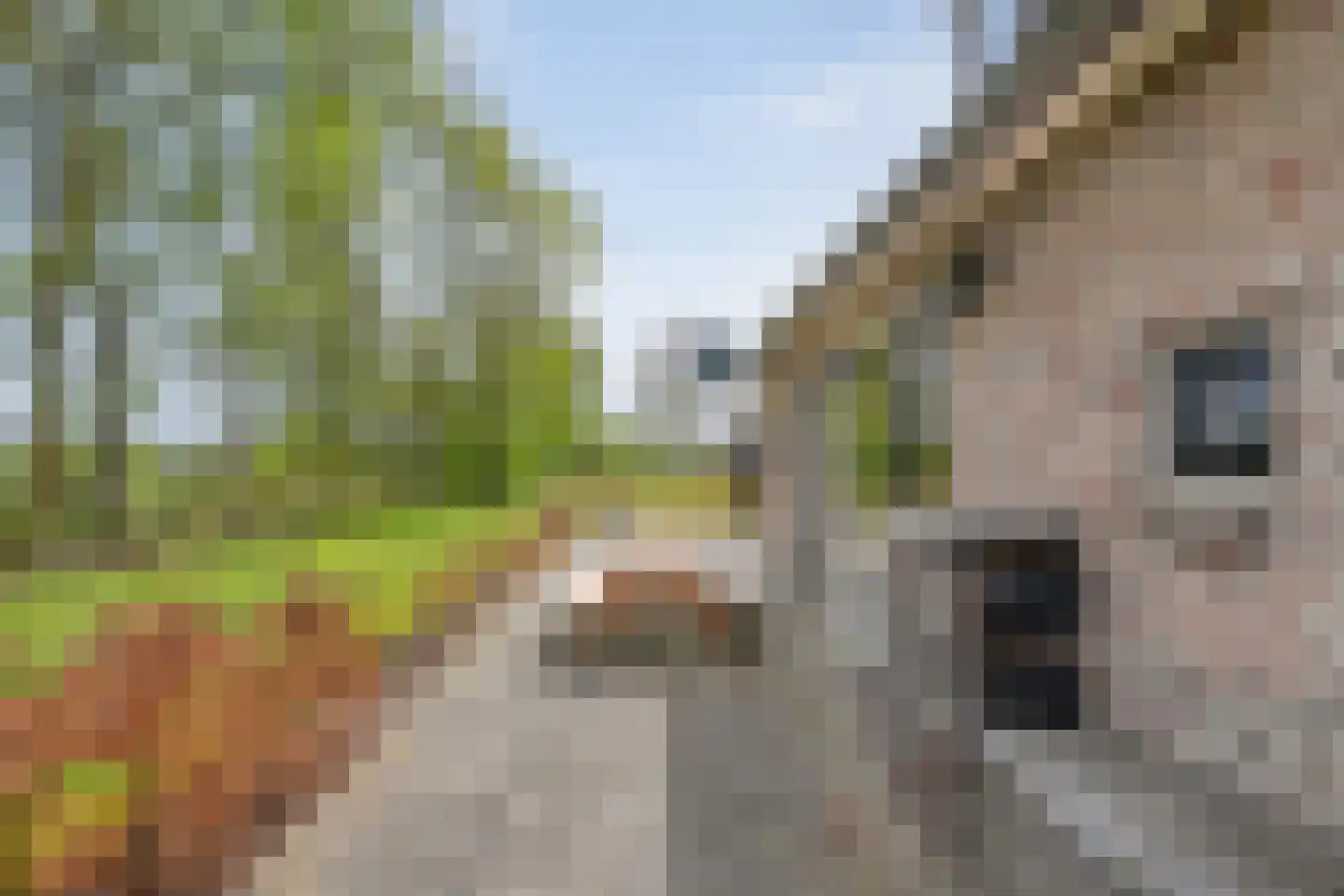 Schoolpad 7 Noordscheschut thumbnail 53