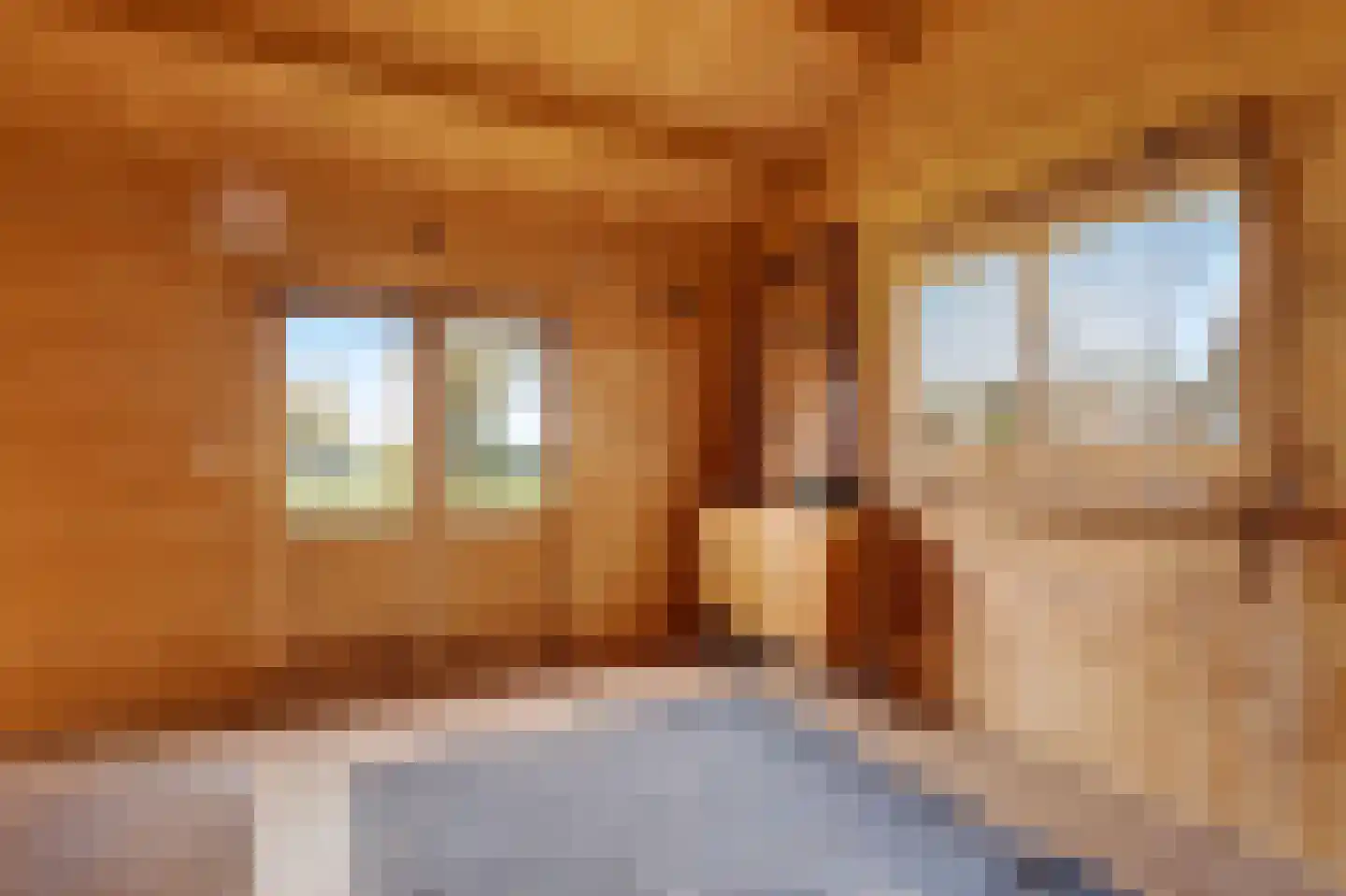 Schoolpad 7 Noordscheschut thumbnail 57