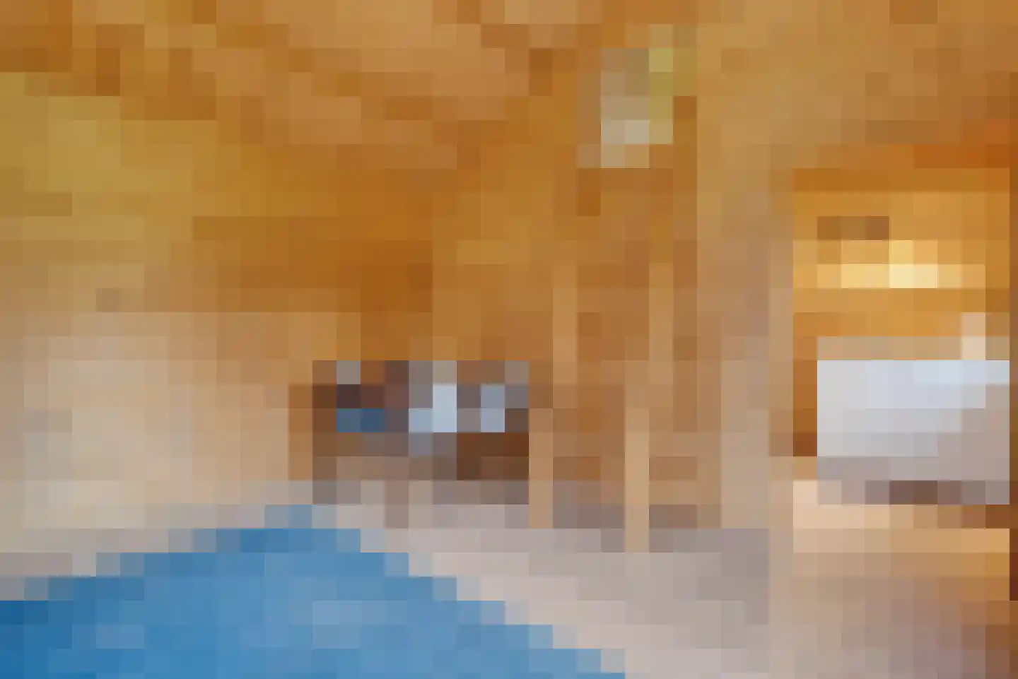 Schoolpad 7 Noordscheschut thumbnail 58