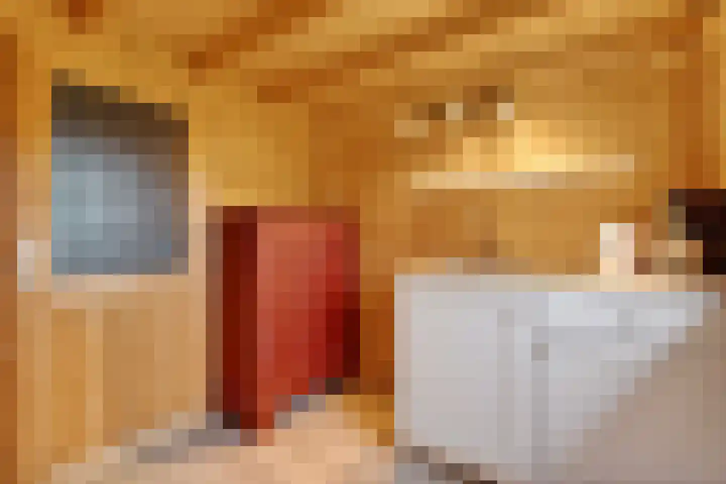Schoolpad 7 Noordscheschut thumbnail 59