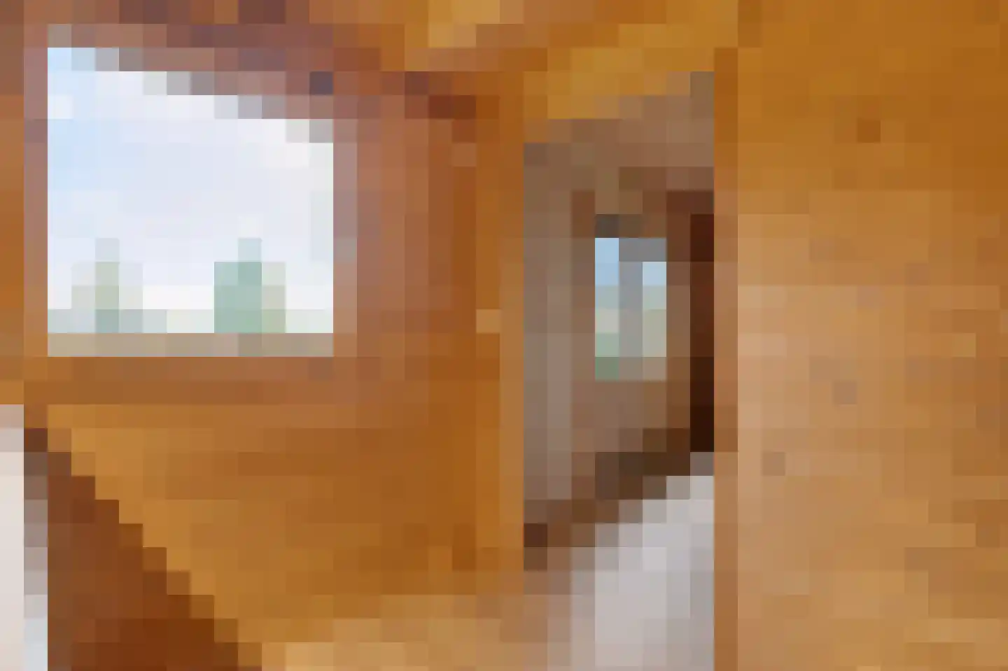 Schoolpad 7 Noordscheschut thumbnail 60