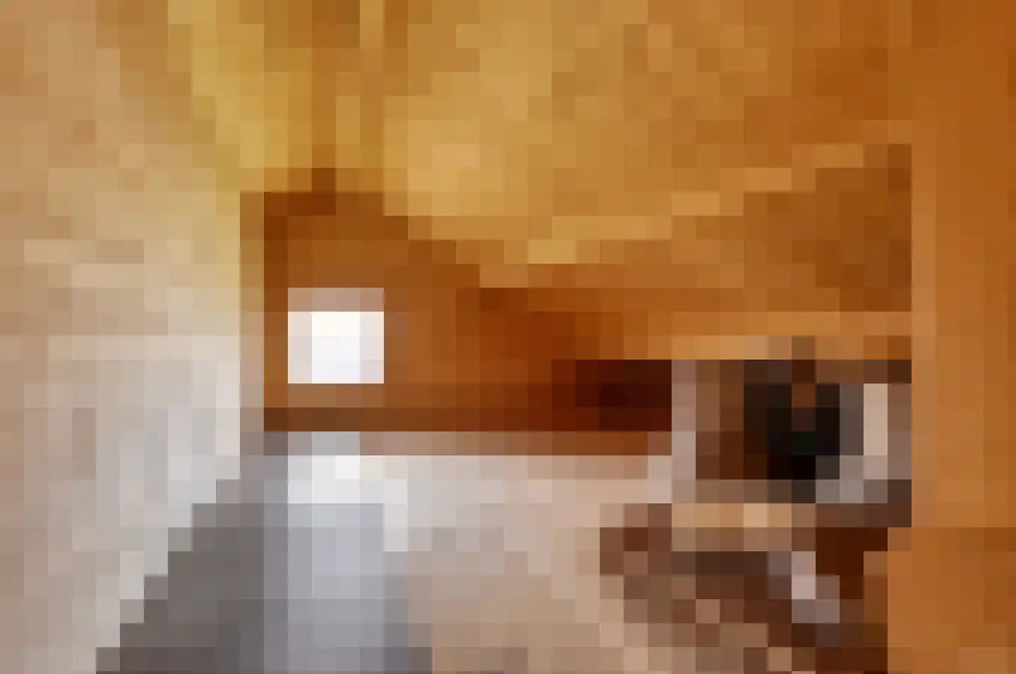 Schoolpad 7 Noordscheschut thumbnail 62