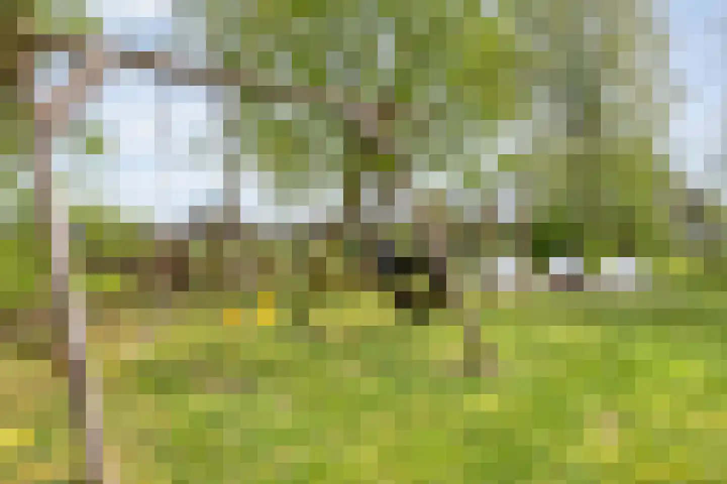 Schoolpad 7 Noordscheschut thumbnail 66