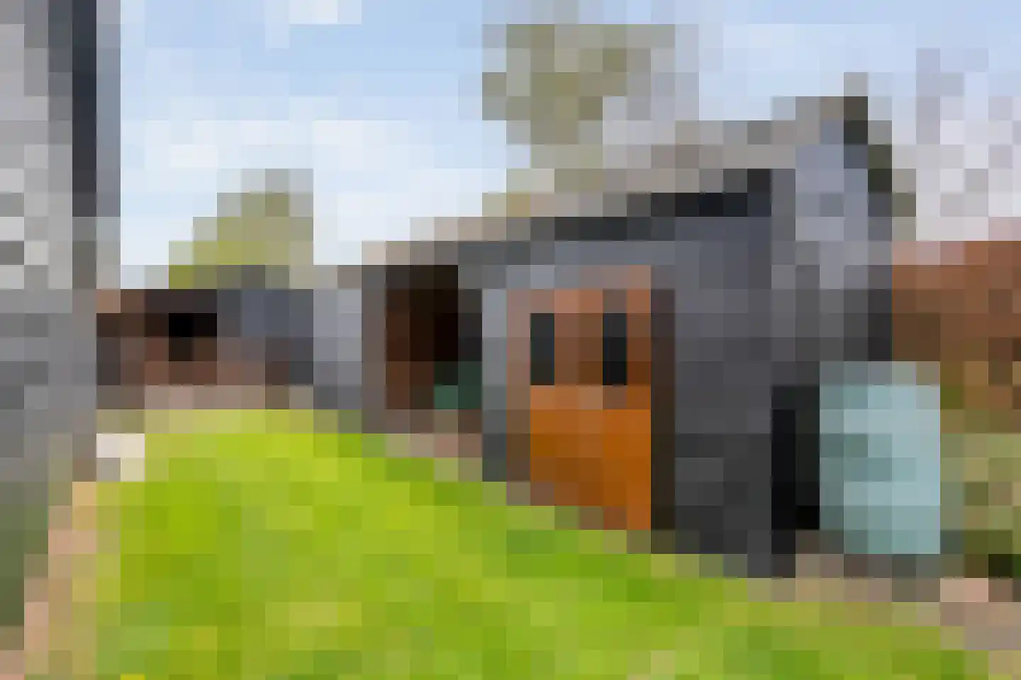 Schoolpad 7 Noordscheschut thumbnail 69