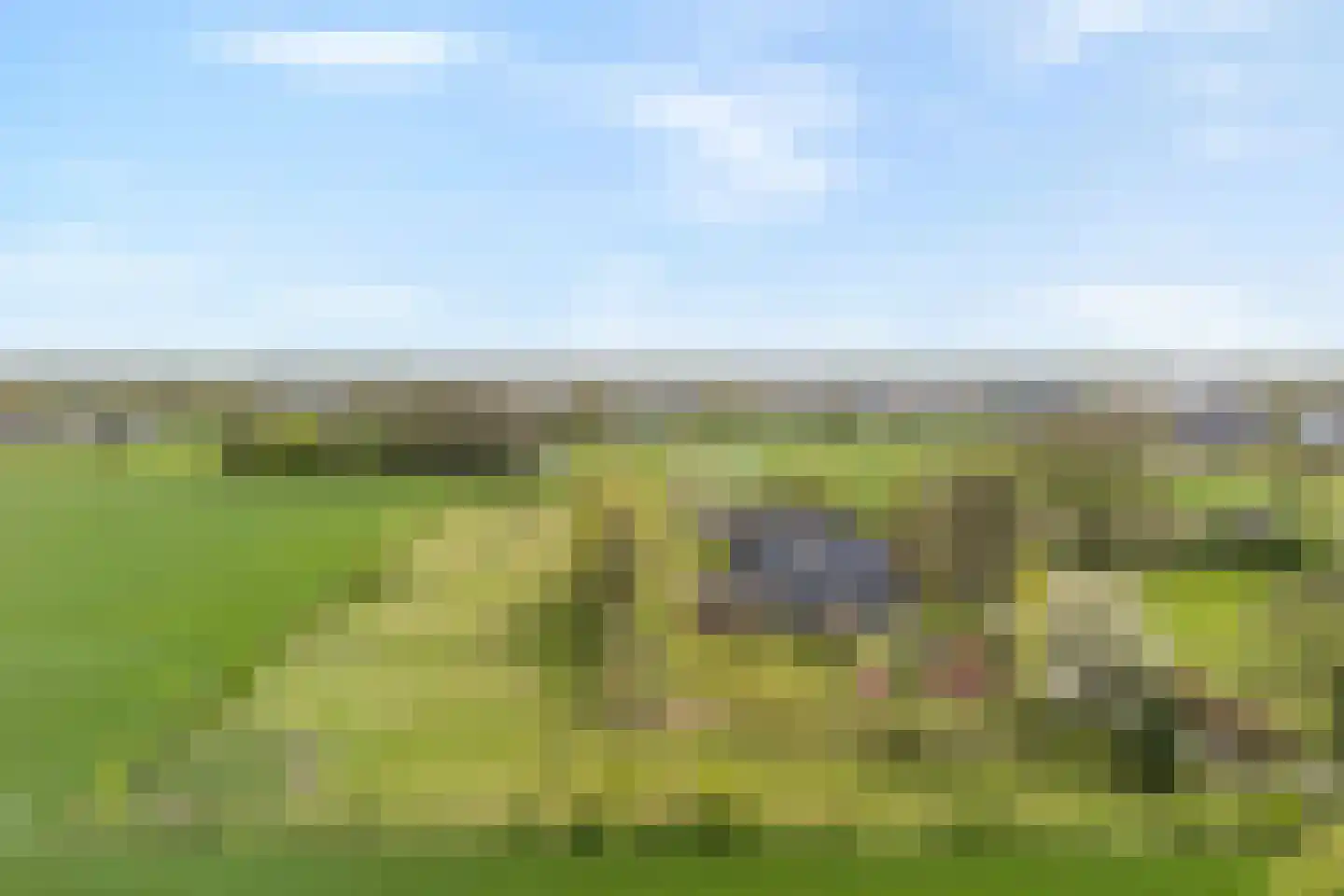 Schoolpad 7 Noordscheschut thumbnail 75