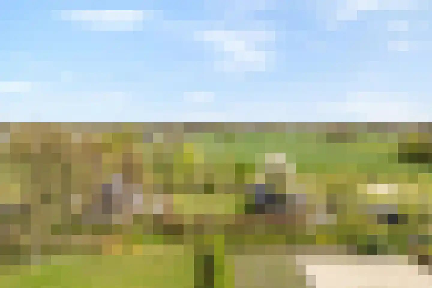 Schoolpad 7 Noordscheschut thumbnail 76