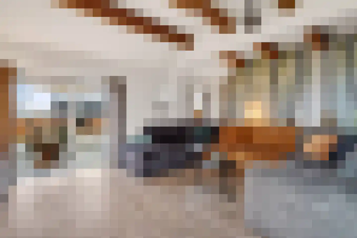 Schoolpad 7 Noordscheschut thumbnail 8