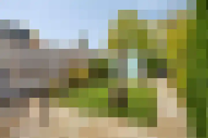 Schoolpad 73 Roermond thumbnail 19