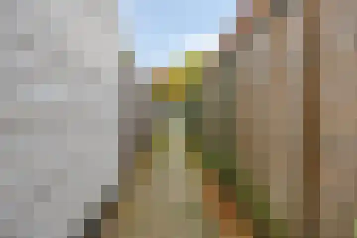 Schoolpad 73 Roermond thumbnail 20