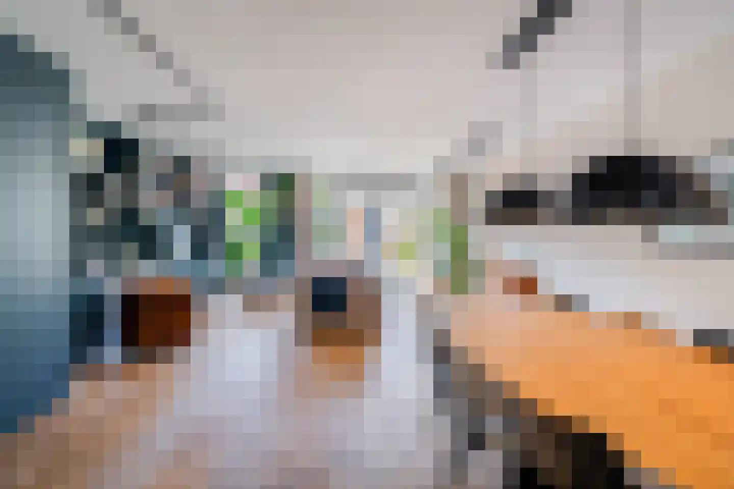 Schoolpad 9 Berkel en Rodenrijs thumbnail 13