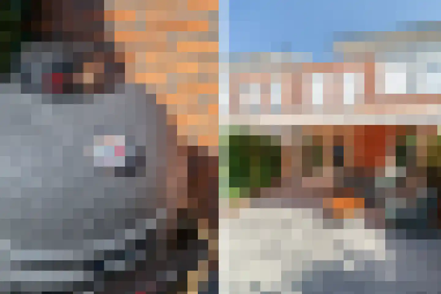 Schoolpad 9 Berkel en Rodenrijs thumbnail 17