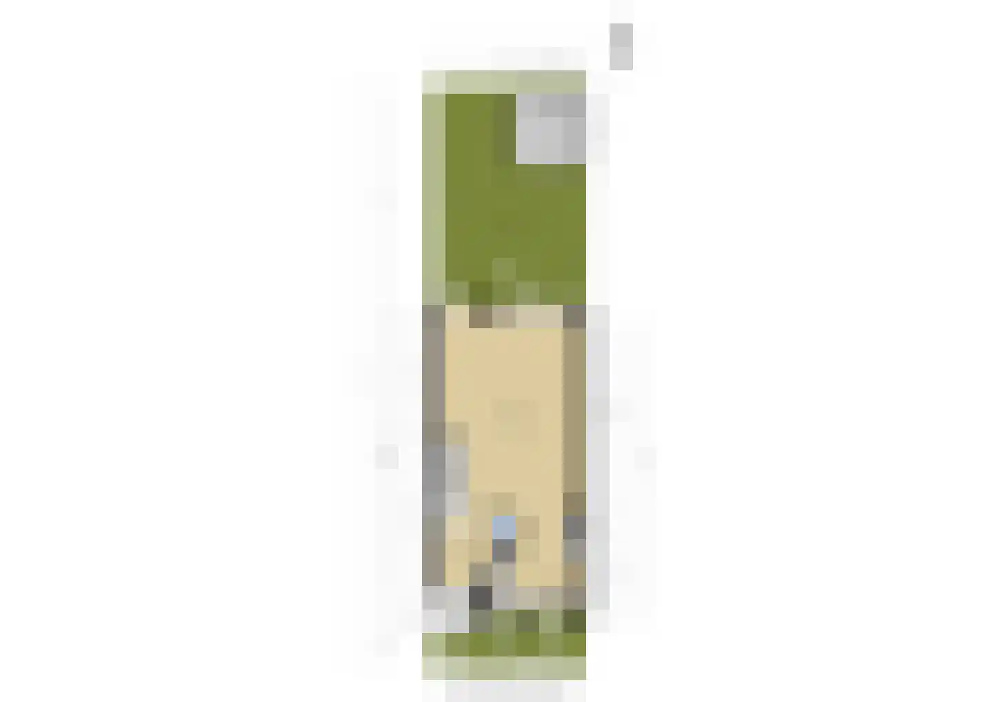 Schoolpad 9 Berkel en Rodenrijs thumbnail 40