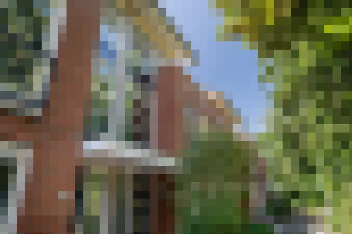 Schoolpad 9 Berkel en Rodenrijs thumbnail 5