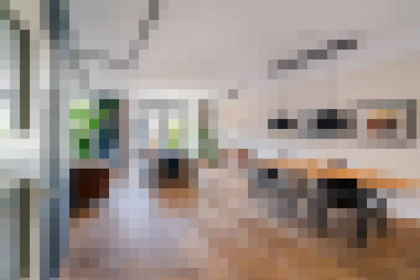 Schoolpad 9 Berkel en Rodenrijs thumbnail 7