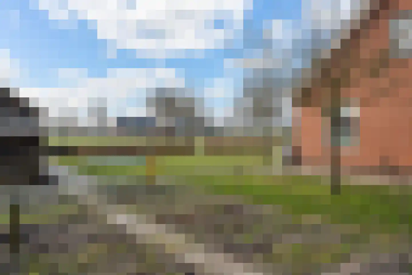 Schoolpad 9 Noordscheschut thumbnail 40