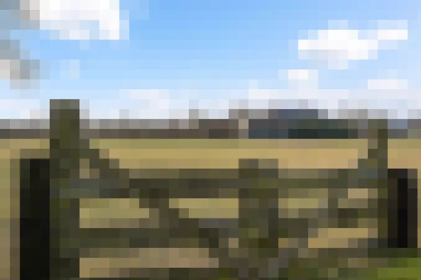 Schoolpad 9 Noordscheschut thumbnail 49