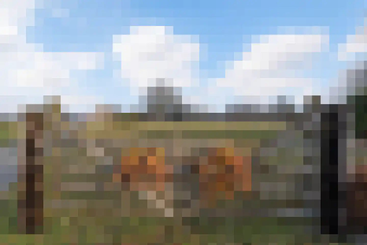 Schoolpad 9 Noordscheschut thumbnail 56