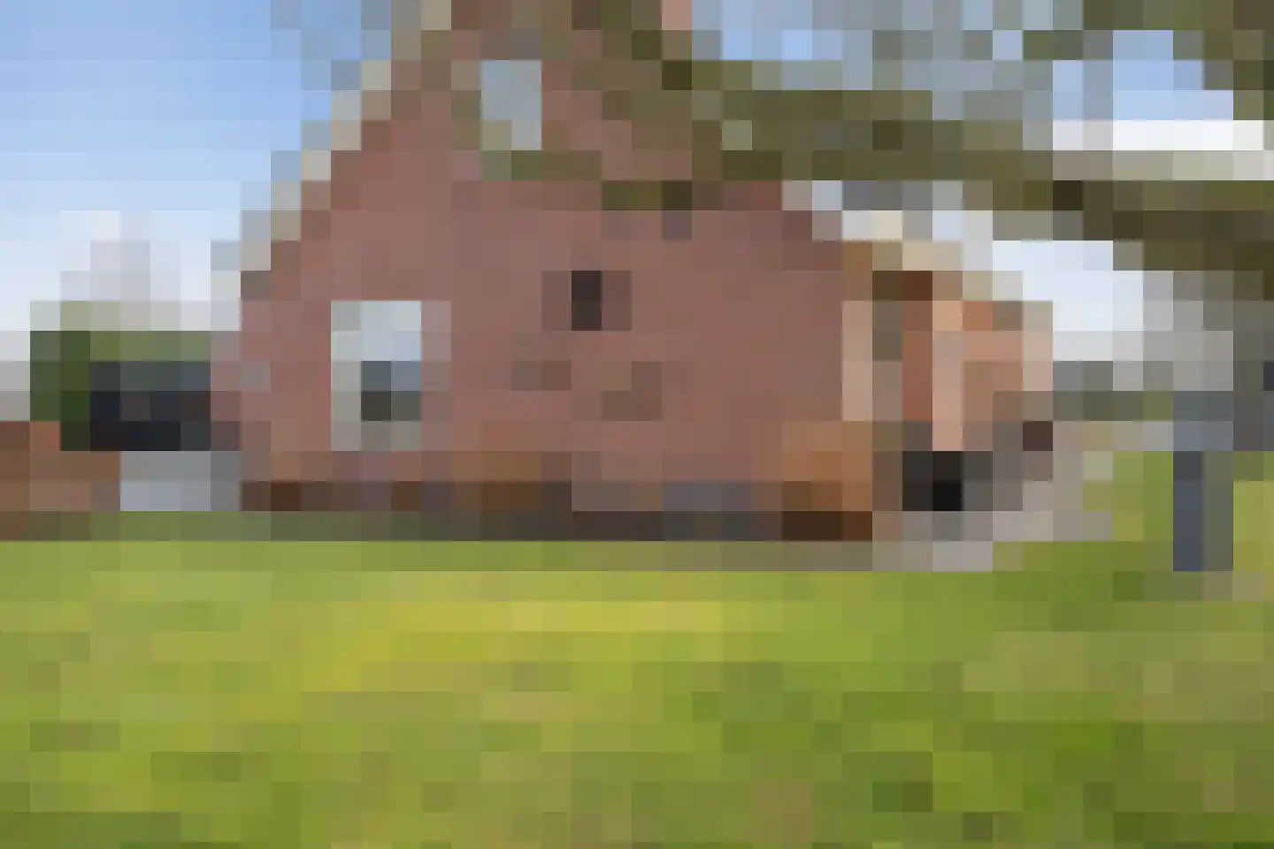 Schoolpad 9 Noordscheschut thumbnail 62