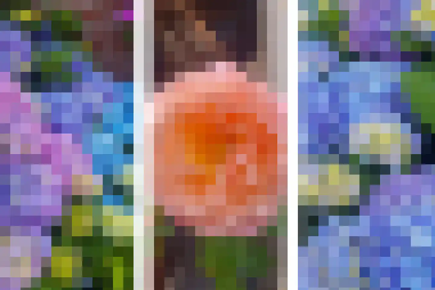 Schoolpad 9 Noordscheschut thumbnail 66