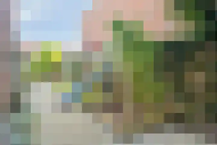 Schoolplein 12 Roelofarendsveen thumbnail 27