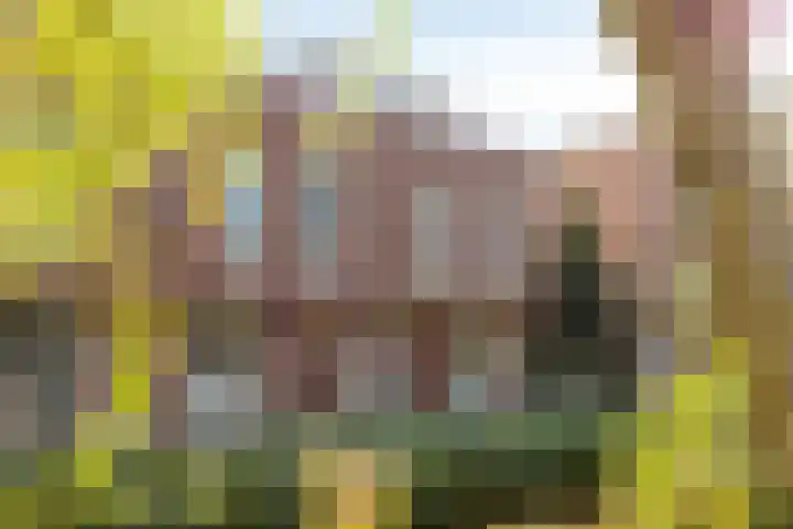 Schoolplein 12 Roelofarendsveen thumbnail 29