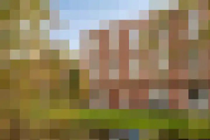 Schoolplein 14 Roelofarendsveen thumbnail 20