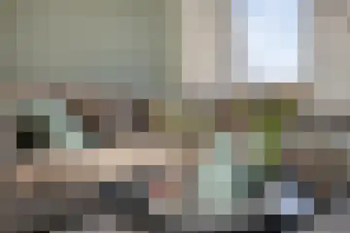 Schoolplein 14 Roelofarendsveen thumbnail 4